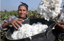 a woman is smiling while holding a bucket full of cotton