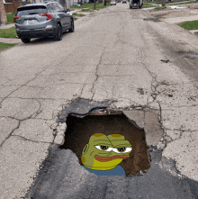 a frog is sitting in a hole in the ground