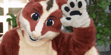 a brown and white badger mascot waving his paw at the camera