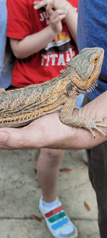 a person holding a lizard in their hand with a boy wearing a red shirt that says titan behind them