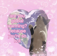 a cat is standing in front of a heart with the words are you global warming because you 're so hot