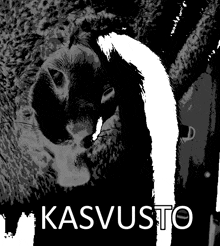 a black and white drawing of a sheep with the word kasvusto written below it