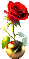 a red rose with green leaves is in a gold vase