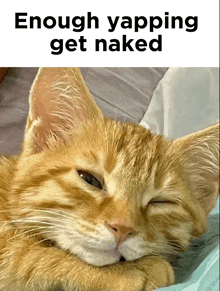 a cat with its eyes closed and the words enough yapping get naked above it