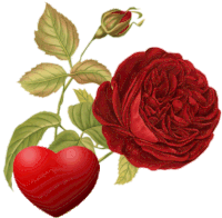 a red rose with green leaves and a red heart next to it