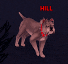 a dog with a red collar is standing in the dark with the name hill above it