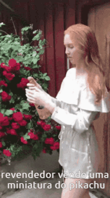 a woman in a white dress is standing in front of a bush of red roses and looking at her phone