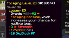 a computer screen that says increases your multiple logs 2 strength 175,000 coins and 10 skyblock xp