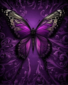 a purple and black butterfly with a purple background