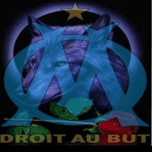 a poster with a wolf and the words droit au but below it