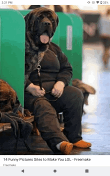 a phone screen shows a picture of a woman sitting next to a dog with the caption 14 funny pictures sites to make you lol