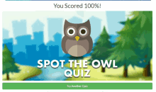 a spot the owl quiz game that has a score of 100 %