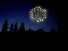 a fireworks display in the night sky above a forest