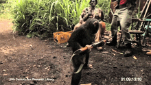 a chimpanzee is holding a gun in front of a 20th century fox research library sign