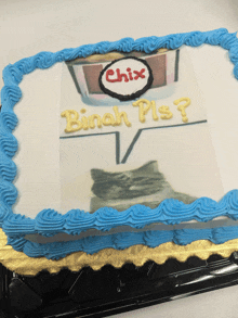 a cake with a picture of a cat and the words binch pls written on it