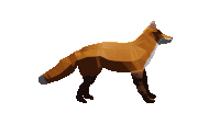 a low poly drawing of a fox standing on a white background