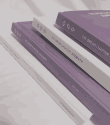 a stack of purple and white books titled " the dream chapter eternity "