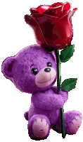 a purple teddy bear is holding a large red rose