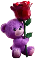 a purple teddy bear is holding a large red rose