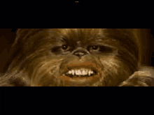 a close up of chewbacca 's face with a very angry look on his face .