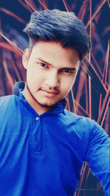 a young man in a blue shirt looks at the camera with a blurred background