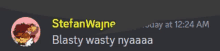 a screenshot of a chat with stefan wajne and blasty wasty nyaaa