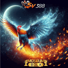 a poster for museum bola with a rooster in the background