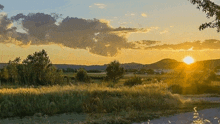 the sun is setting over a grassy field with trees in the foreground