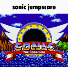 a video game called sonic the hedgehog is displayed