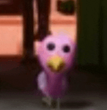 a purple bird with a yellow beak is walking on the ground .