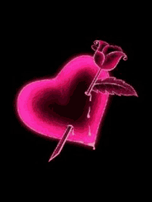 a neon pink heart with a rose sticking out of it .