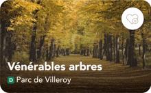 a picture of trees with the words venerables arbres on it