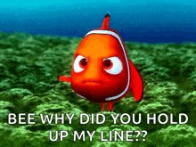 a clown fish is asking why did you hold up my line