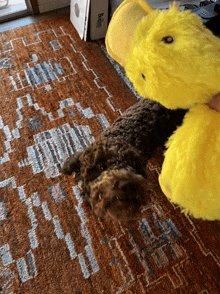 a dog is laying on a rug next to a yellow stuffed animal that says beatles