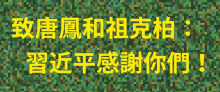 a green pixelated background with yellow chinese writing