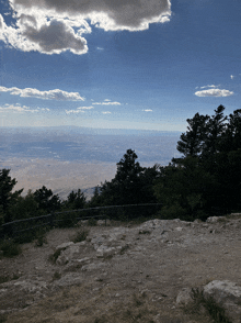 a view of a city from the top of a mountain with trees in the foreground