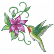 a green hummingbird is perched on a pink flower .