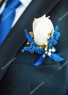 a buttonhole with a white rose and blue flowers on a groom 's suit