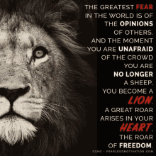 a black and white photo of a lion with a quote by osho