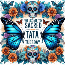 a poster that says welcome to sacred tata tuesday with butterflies and sugar skulls