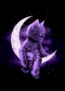 a purple cat is sitting on a crescent moon in the night sky .