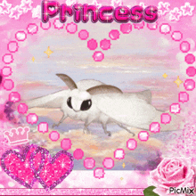 a picture of a moth with the word princess on top