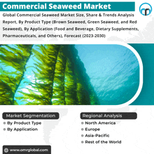 an advertisement for a commercial seaweed market with a picture of seaweed in the water