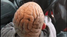 the back of a person 's head with a brain shaped hat