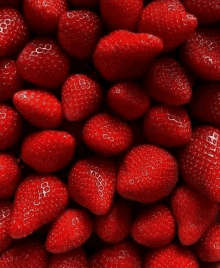 a pile of red strawberries on a table .