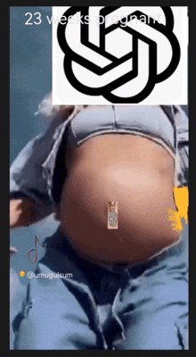 a picture of a pregnant woman with the words 23 weeks pregnant on the top