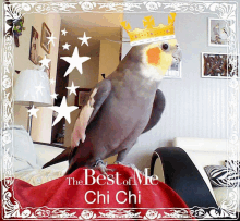 a picture of a bird wearing a crown with the best of me chi chi written on it