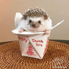 a hedgehog is sitting inside of a chinese takeout box that says enjoy thank you