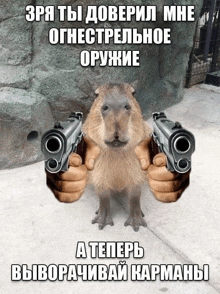 a picture of a capybara holding two guns with russian writing on it