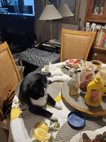 a black and white cat laying on a table next to a bag of hunks ketchup